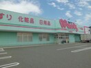ウォンツ小野田店(ドラッグストア)まで1564m エンゼルハイツ