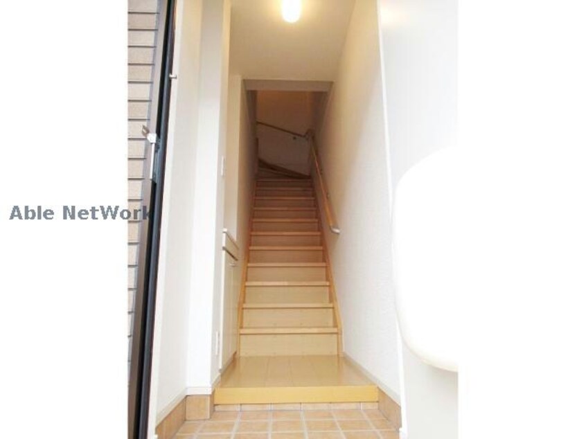  セントポーリア　Ⅰ