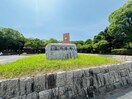 東沖緑地(公園)まで254m ブランネージュ中川　ABC