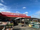 ホームセンタージュンテンドー厚狭店(電気量販店/ホームセンター)まで134m ハイムトッキ