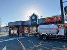 すき家190号宇部西割店(ファストフード)まで706m シャンテベールⅡ