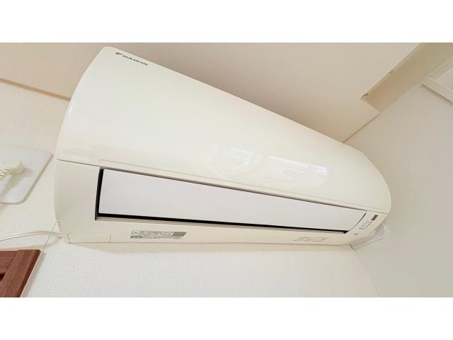  Salvia　サルビア