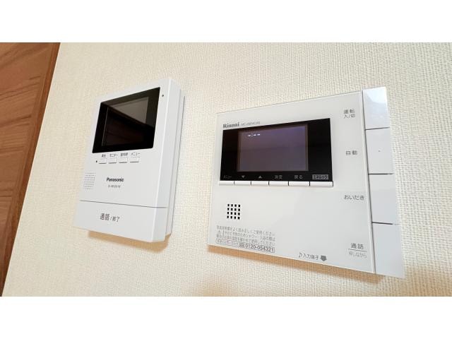  Salvia　サルビア