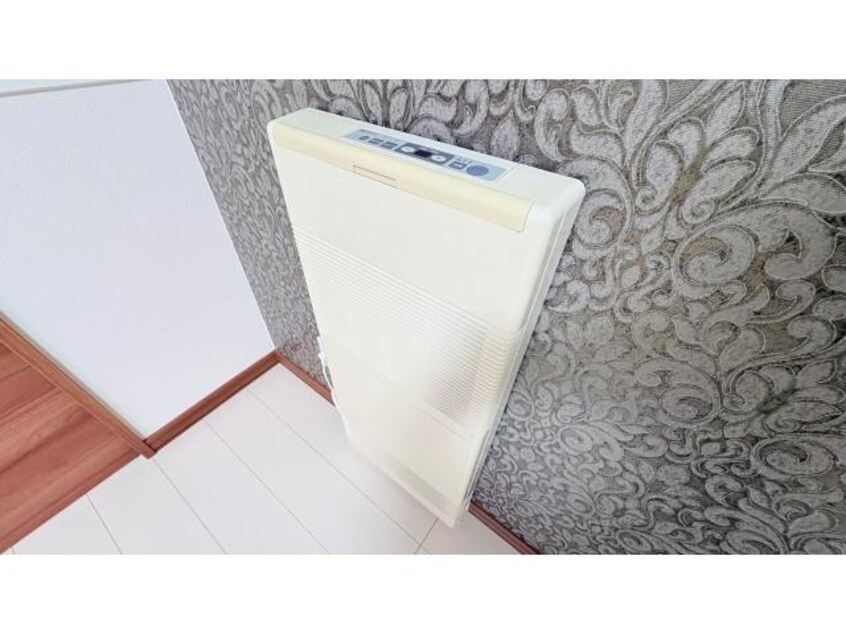  Salvia　サルビア