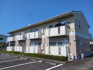 ウォールナット