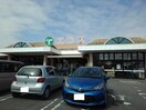 エコス　下館東店まで100m ヴィラプリムローズＢ
