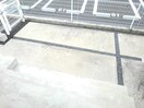  アクティブウィングXII