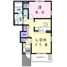 ラフィーネＣ 1LDKの間取り