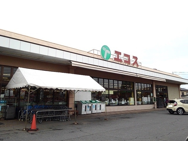 エコス下館岡芹店まで550m フラット岡芹