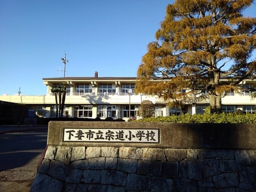 下妻市立宗道小学校まで600m フォレストハウス