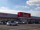 サンキ結城店まで780ｍ エミアスII
