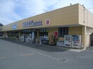 ｳｴﾙｼｱ筑西協和店(ドラッグストア)まで295m エスペランサC