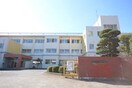 筑西市立養蚕小学校(小学校)まで506m シティハイムケント