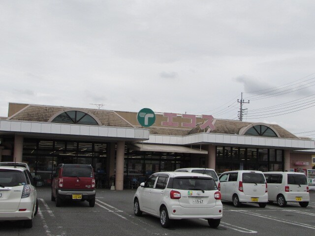 ｴｺｽ 下館東店(スーパー)まで1044m ハイツクレイン