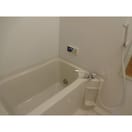  ベルヴェデール