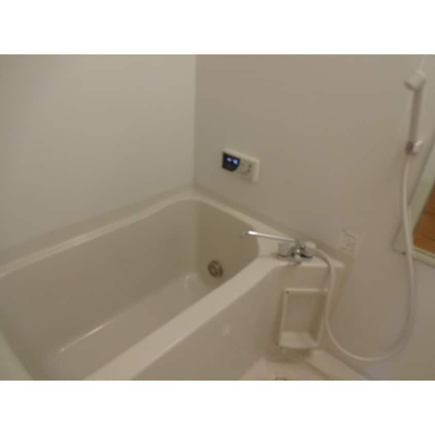  ベルヴェデール