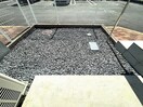  ＳＵＣ－ＳＥＥＤ