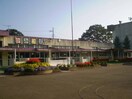 下妻市立上妻幼稚園(幼稚園/保育園)まで898m サニーコート