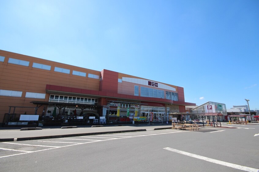 山新 結城店(電気量販店/ホームセンター)まで1099m グラウクス・シャトー