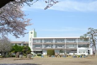 結城市立城南小学校(小学校)まで1409m グラウクス・シャトー