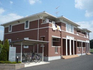 プリムベ－ル