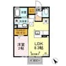ウェリントン 1LDKの間取り