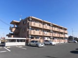 Ｙ＆M　ＰｉｓｏＲａｙｏ