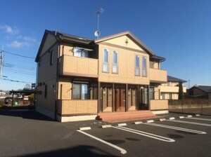 エバーグリーンB
