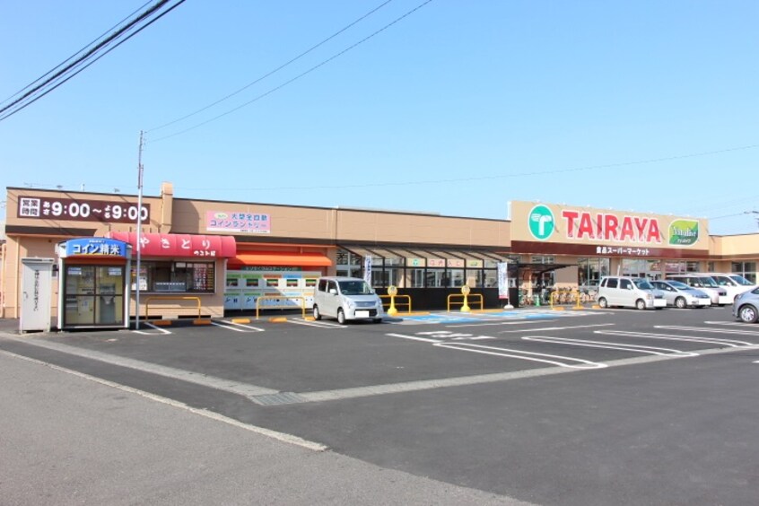 ｴｺｽTAIRAYA（たいらや） 川島店(スーパー)まで712m フォレスト　グリーン