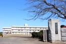 筑西市立川島小学校(小学校)まで1126m フォレスト　グリーン