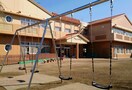 川島保育園(幼稚園/保育園)まで470m タムラハイツ