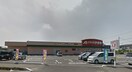 ｸｽﾘのｱｵｷ 直井店(ドラッグストア)まで751m Northridge直井