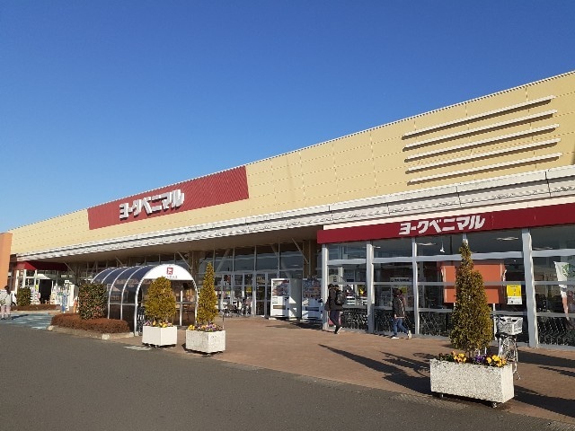 ヨークベニマル結城四ツ京店まで1500m アルタイルI