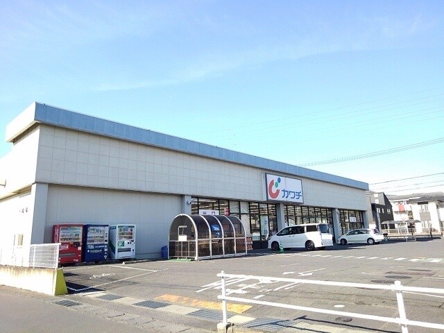 カワチ　岩瀬店まで400m アヴィニールＡ