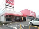 サンキ　下館店まで400m メゾンジョリスＡ棟