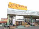 パワーマート岩瀬店まで400m ビバリーヒルズ