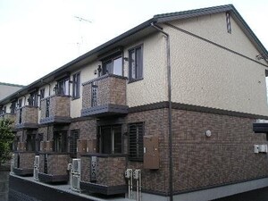 ミウ・ヴィエント