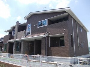 サウス　フロンティア