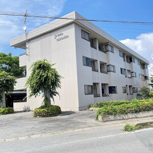 グリーンマンション