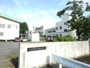 筑西市立竹島小学校まで400m カレントヴィラＢ