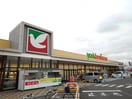 ヨークベニマル筑西横島店まで600m カレントヴィラＢ