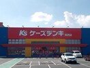 ケーズデンキ筑西店まで180m フォレスト　グリーン