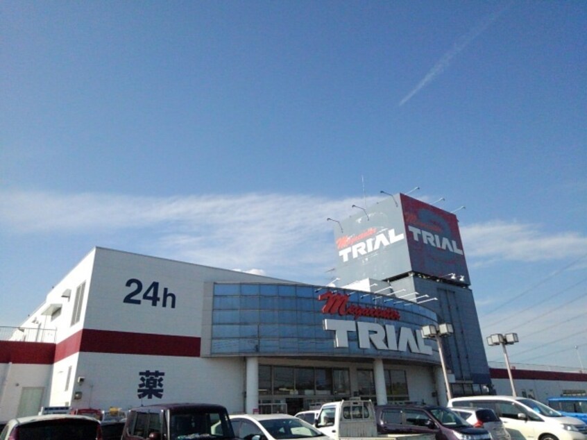トライアル筑西店まで600m フォレスト　グリーン