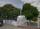 認定こども園英光幼稚園(幼稚園/保育園)まで1408m フォレスト　グリーン