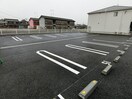  ステラ