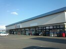 ｶﾜﾁ薬品 結城南店(ドラッグストア)まで458m Ｙ－フォレストI