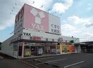 ヤックス手城店(ドラッグストア)まで203m ディアスsun B棟