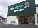 なかやま牧場ハート坪生店(スーパー)まで600m メゾン桂