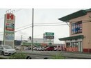 ハローズ神辺モール店(スーパー)まで785m モデッサ神辺　B