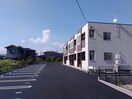 サクラーレ